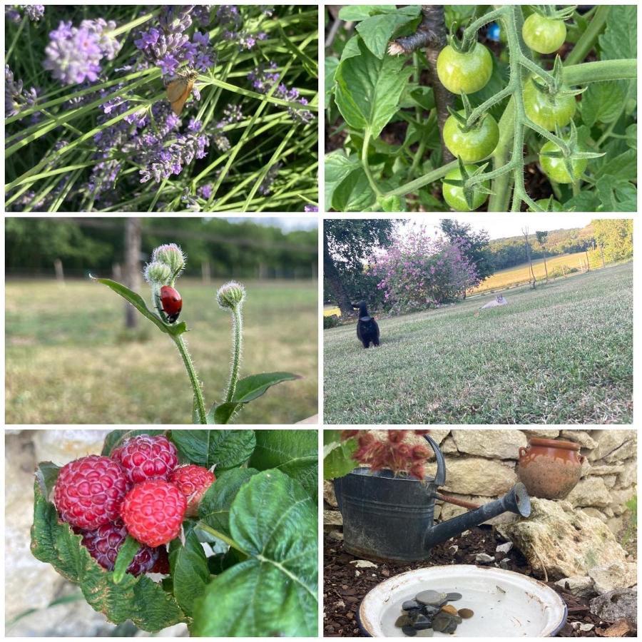 Willa Les Fontanelles Du Quercy Blanc Montcuq Zewnętrze zdjęcie