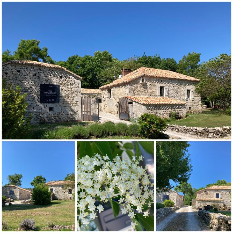Willa Les Fontanelles Du Quercy Blanc Montcuq Zewnętrze zdjęcie